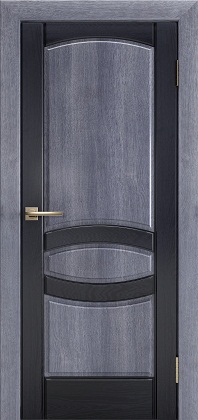 Дверь Nero Legno Лион1